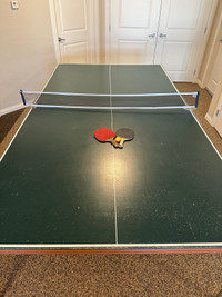 Coleco ping pong table.  Foldable. 