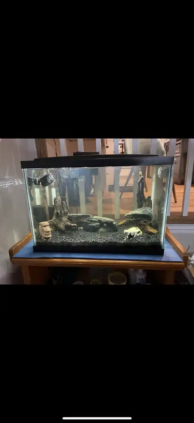 20 gallon high Eheim air100 pump Hang on filter Heater Upgraded led canopy Python Sicce voyager nano...