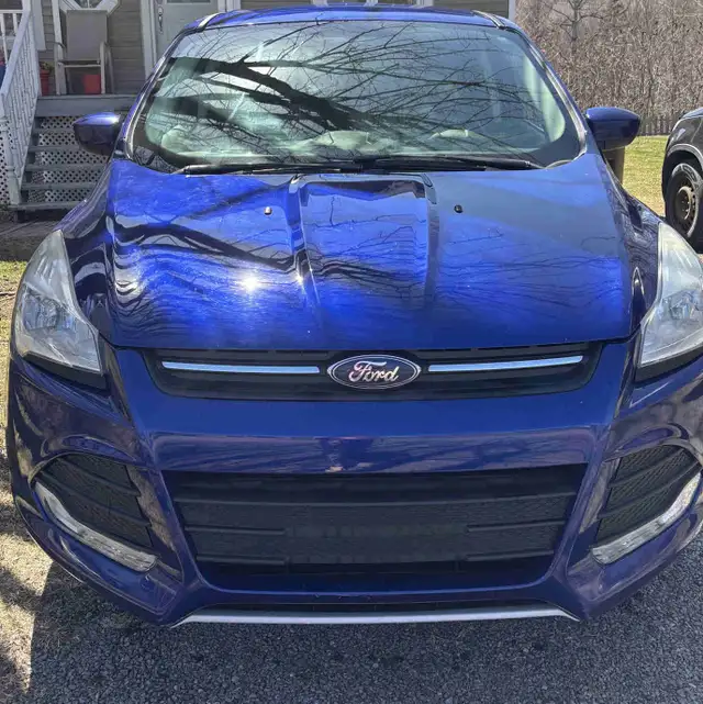2014 Ford Escape450229989132226560