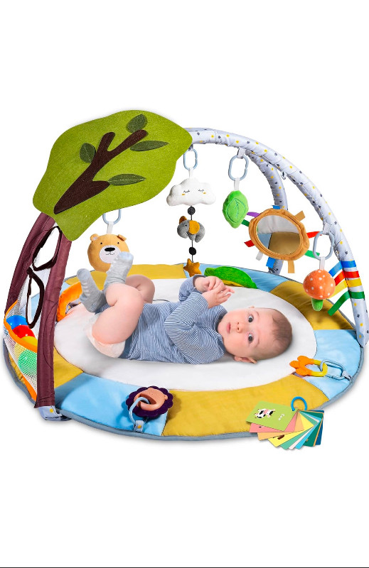 Brand new baby high-chair, swing, play-mat, reclining chair… dans Articles multiples  à Ville de Montréal - Image 3