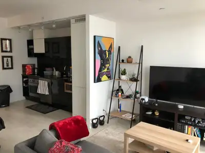 Downtown Condo 1 BR + Den (2nd BR) at 125 Peter (Tableau)