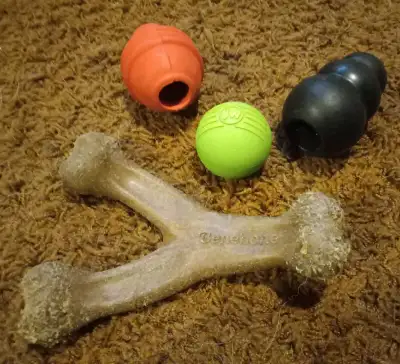Small Dog/Puppy Toys, View more