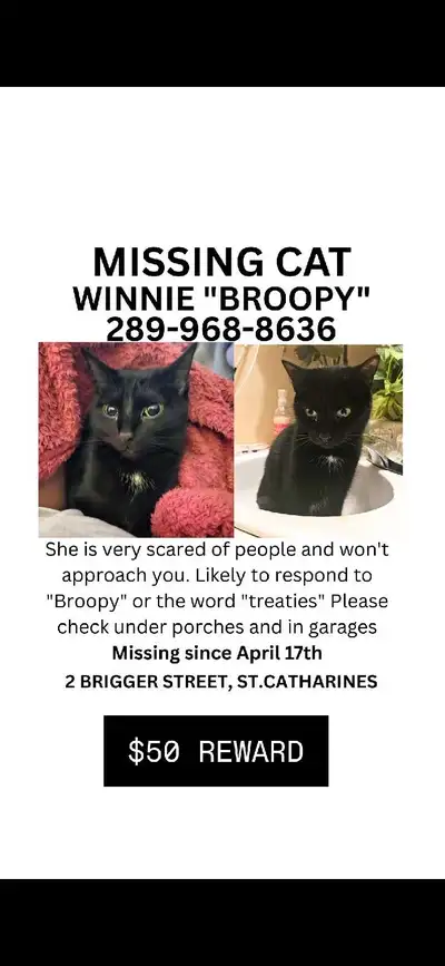 Ive been out every night from 9pm to 9am. I know shes hiding on someones property. Please check your...