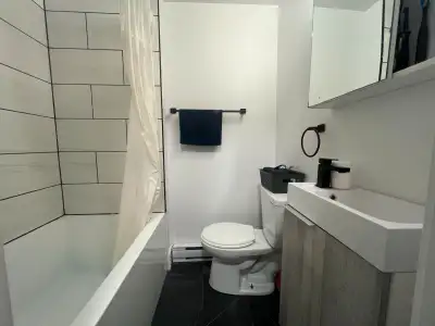 3.5 Apapartment a louer pres du metro Pie-IX!