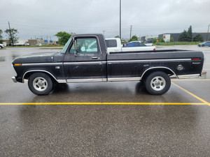 1965 Ford F 100
