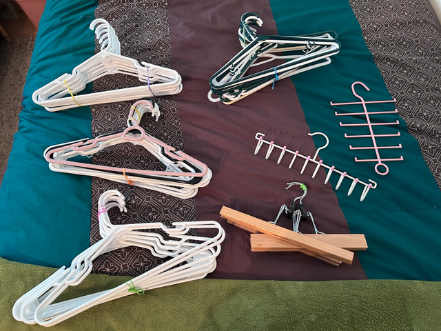 Coat hangers Galore! in Storage & Organization in Prince George