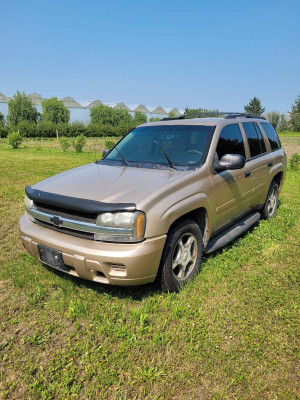 2007 Chevrolet Trailblazer