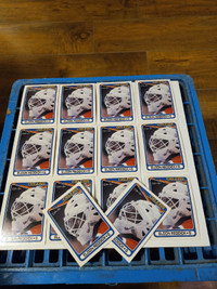 Hockey Cards Edmonton Oilers Eldon Reddick Rookie Cards OPC 14NM