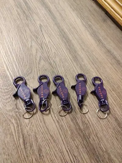 Five Brand new purple carabiner-style keychains , View more