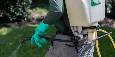 Weed Spraying, View more