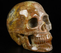 Huge Indian Agate Crystal Skull! Hand carved, realistic.