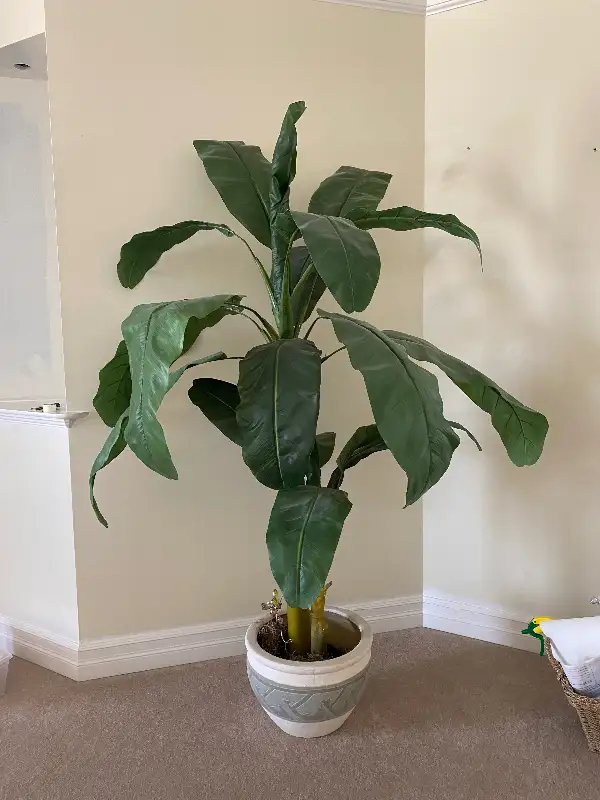 Artificial 7ft Indoor Tree with Pot in Home Décor & Accents in Edmonton - Image 2