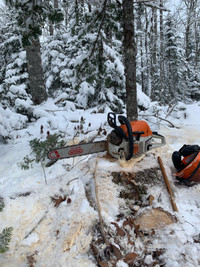 Lot clearing, tree cutting
