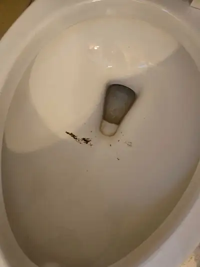 DEEP CLEANING LADY: (613) 501-0354 , View more