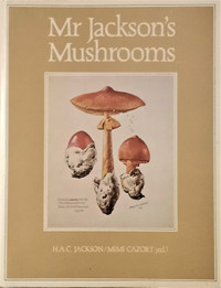 Tidy 1st Ed Hardcover Vintage Book Mr. Jackson's Mushrooms