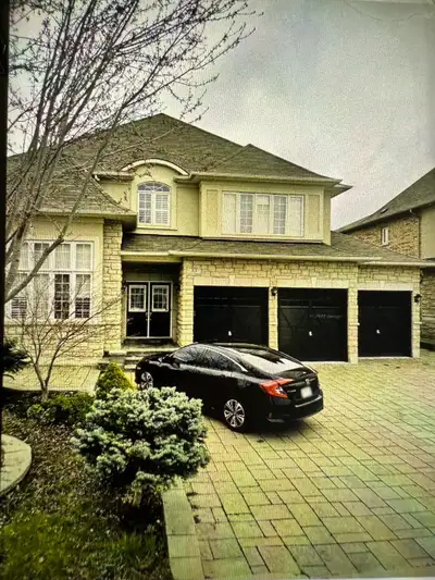 2 bed basement  with separate Laundary