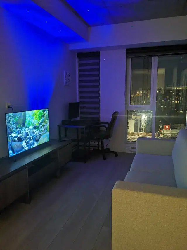 All-Inclusive Studio Condo