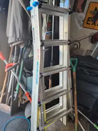 Multi Function Ladder 