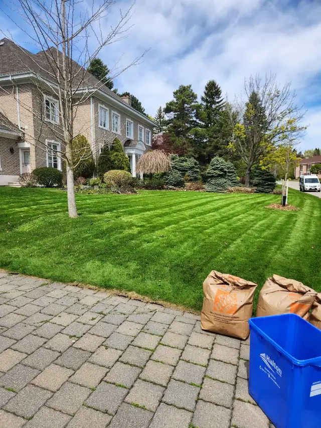 LANDSCAPE MINTEANCE.461434999213936640