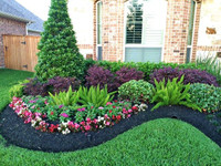 Landscaping serving at the best rate / FREE ESTIMATE 