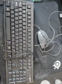 Logitech m100 and k120 keyboard and mouse combo
