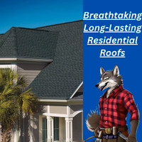 Roofing Contractors 