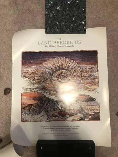 7 posters in great shape sold as set