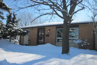Rooms for Rent  close to Humber college North Campus.