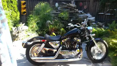 FOR SALE!! Who needs a sweet sportster?! 1993 XL883 with 1200 kit installed. This bike belongs to a...