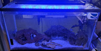 25 gallon aquarium - all inclusive