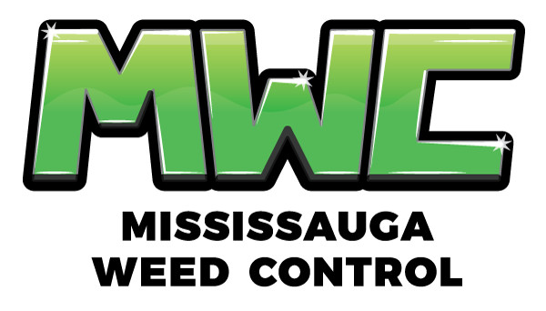 Professional Weed Control Service - MWC in Lawn, Tree Maintenance & Eavestrough in Mississauga / Peel Region - Image 4