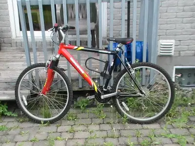 Mongoose Pro Mountain Bike, View more