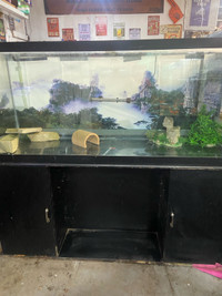 120 gallon tank stand everything you need to get started 