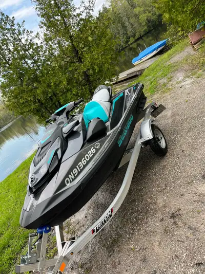 - 2024 sea doo GTR 230 - 45 hours - 2024 Triton trailer (LED water proof lights) - oil + filter chan...