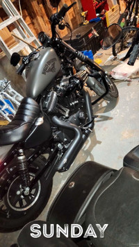 Harley Davidson sportster 1275cc 