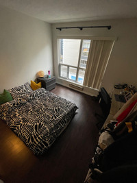 Large Private Bedroom in heart of DT Toronto