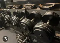 LOOKING FOR DUMBELLS (55+)
