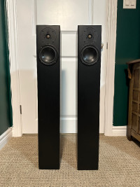 Totem Home Theater Speakers