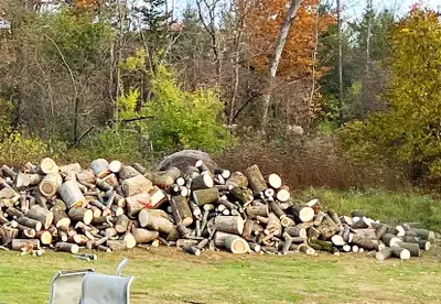 cut and split wood, View more