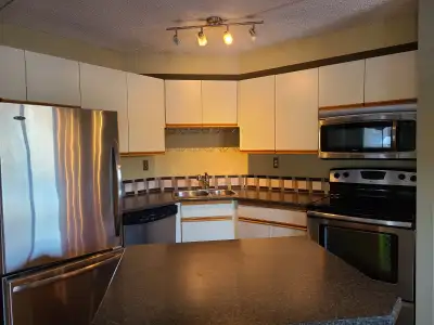 Big 2-bedroom, 2 bathroom condo on Pembina