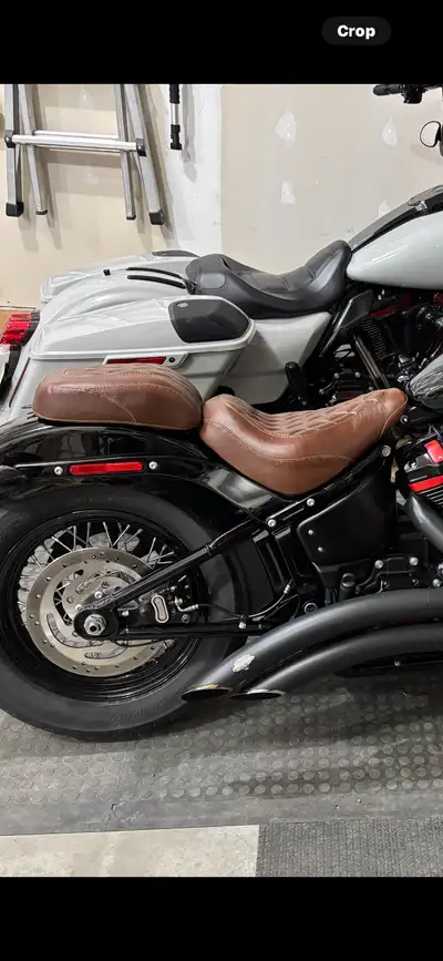 Mustang seat for Street Bob came off 2019 Nice condition and very comfortable