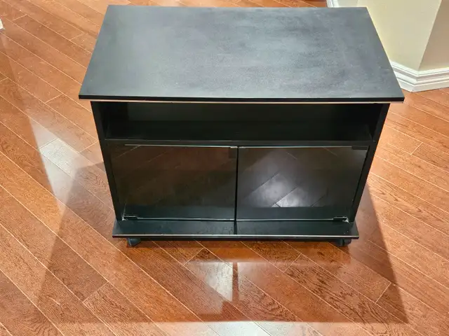 Media/TV Stand with Glass Doors & Casters