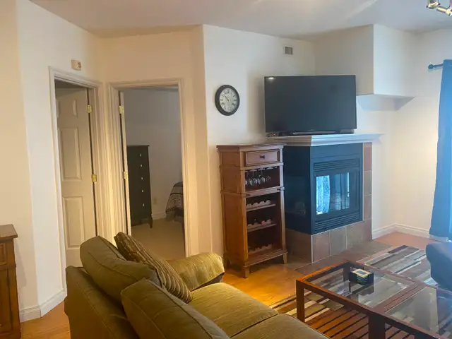 2 Beds 2 Baths Apartment in Long Term Rentals in Edmonton - Image 6