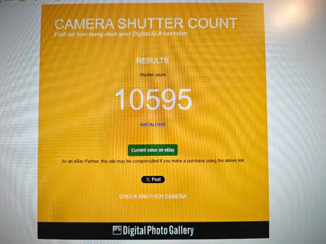 Nikon D500 + 17-55mm f2.8, only 10k shutter actuations62863270705538124
