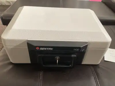 Sentry 1100 Safe, View more