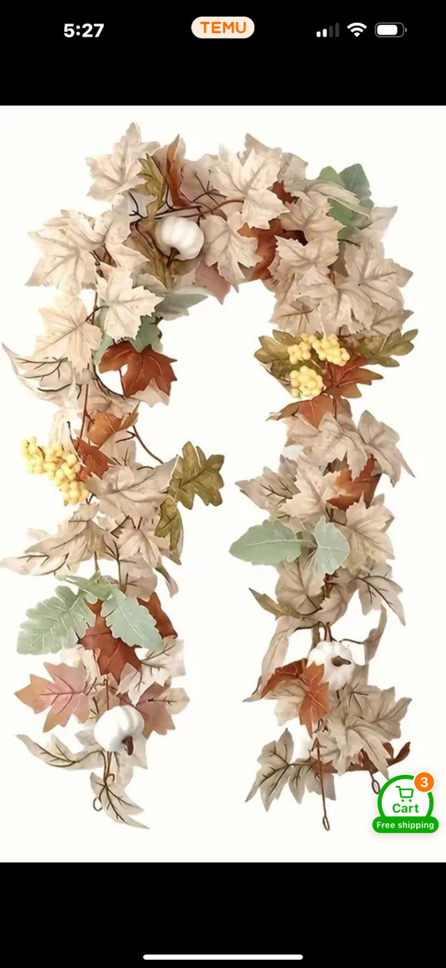 Fall wreath in Holiday, Event & Seasonal in Delta/Surrey/Langley
