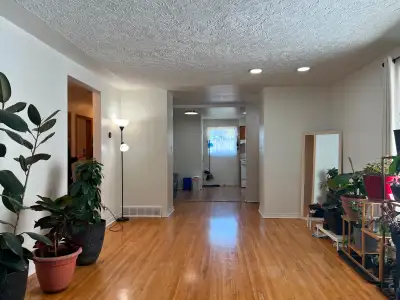 3 bed 1 bath Main Floor
