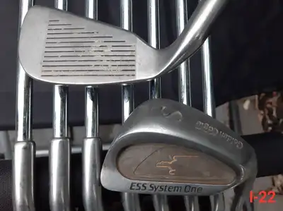 Golden Eagle ESS System One Irons Set (2-SW), View more