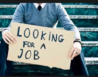 I am looking for a job ( not hiring) need general labour job , View more