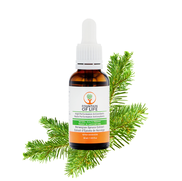 Fountain of Life Supplement64695062472578120